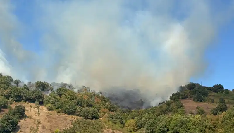 Düzce'de Orman Yangını: Ekiplerin Havadan ve Karadan Mücadelesi