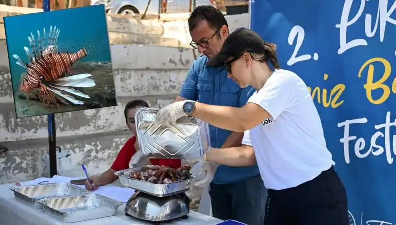Antalya'da Aslan Balığı Avlama Yarışması: Denizlerin İstilacı Tehdidiyle Mücadele