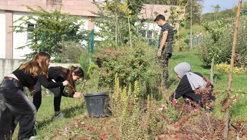 Düzce'nin Yükselen Yıldızı: Hayaldan Gerçeğe Dönüşen Başarı Hikayesi
