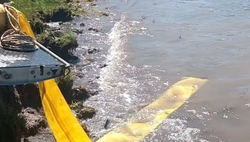 Türkiye’nin Göletlerine Yeni Hayat: Yavru Balıklar Bırakıldı