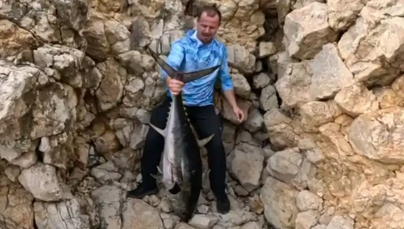 Saros Koyunda Avlanan Dev Balık, 20 Dakika Mücadele Sonrası Kurtarıldı!