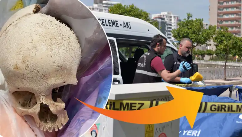 Sitenin Çöpünden Bulunan Kafatasının Gizemi ve Uzman Doktorun Gözaltına Alınması