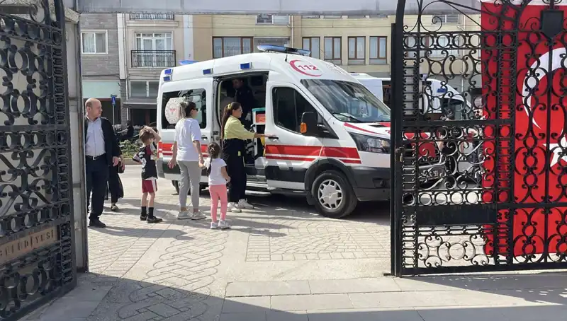 Eskişehir'de Sahipsiz Köpeklerin Çocuklara Saldırısı: Olayın Detayları ve Tedbirler