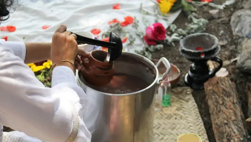 Ayahuasca Nedir? Sağlık Riskleri ve Yasaklarıyla İlgili Bilmeniz Gerekenler