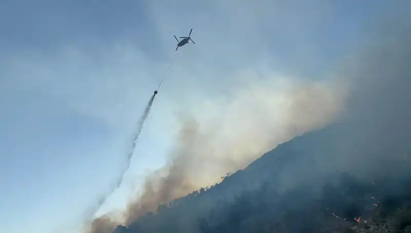 Söke'deki Orman Yangını Kontrol Altına Alındı: Son Durum Ne?