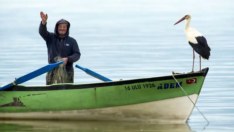 Yaren Leylek Geldi mi? Leyleklerin Dönüşüyle Bahar Coşkusu