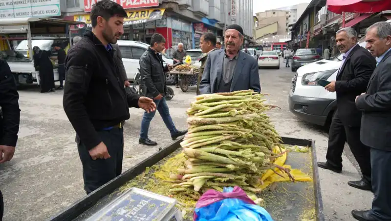 Şekerin Şifa Kaynağı Olduğu İddiası: Dağlık Alanların Özgün Faydaları