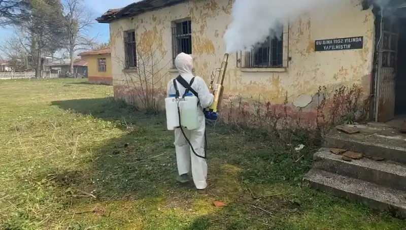 Çiftçilerin Kahverengi Kokarca Mücadelesi: Tarımda Yeni Bir Tehdit