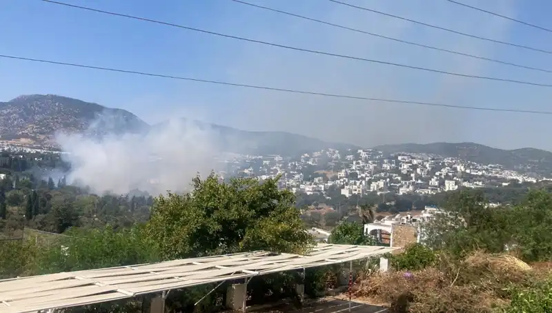Muğla'daki Orman Yangınları Kontrol Altına Alındı, Tehlike Geçti Mi?