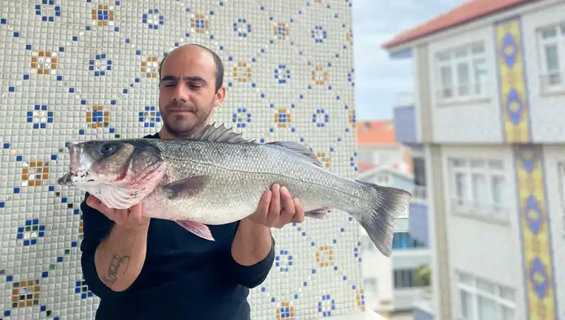 7,5 Kiloluk Dev Levrek Yakalandı: Balıkçılar Arasında Rekor Kırıldı