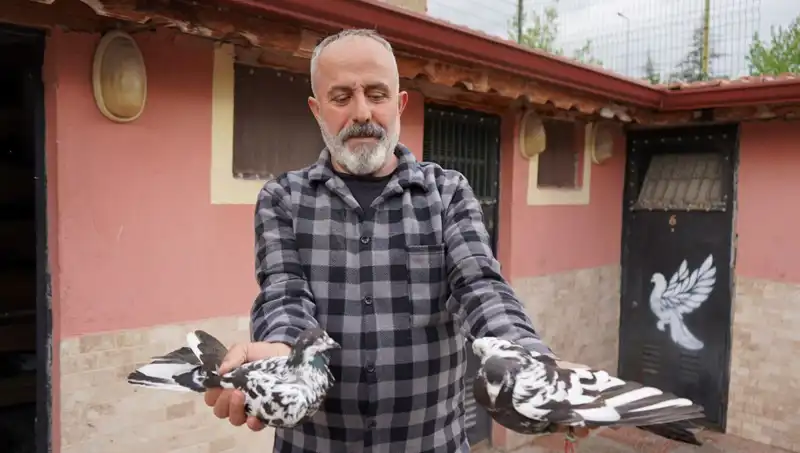 42 Yıllık Tutku: Hobi Olarak Başladı, Şimdi Tesis Oldu!