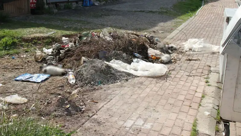 Antalya'da Adalet Arayan Kedi Katliamı: 10 Kedi Tüyler Ürpertici Şekilde Ölü Bulundu