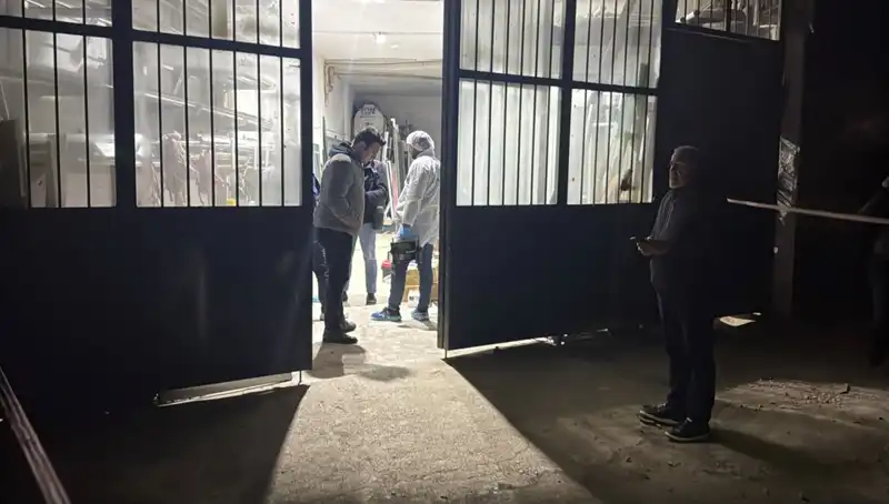 Ofiste Gerçekleşen Cinayet: Korkunç Detaylar ve Şok Edici İddialar