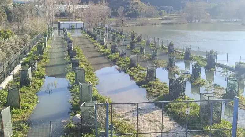 : Irmak Taşınca Otoyol Şantiyesi Sular Altında Kaldı: Gerçekler ve Etkileri